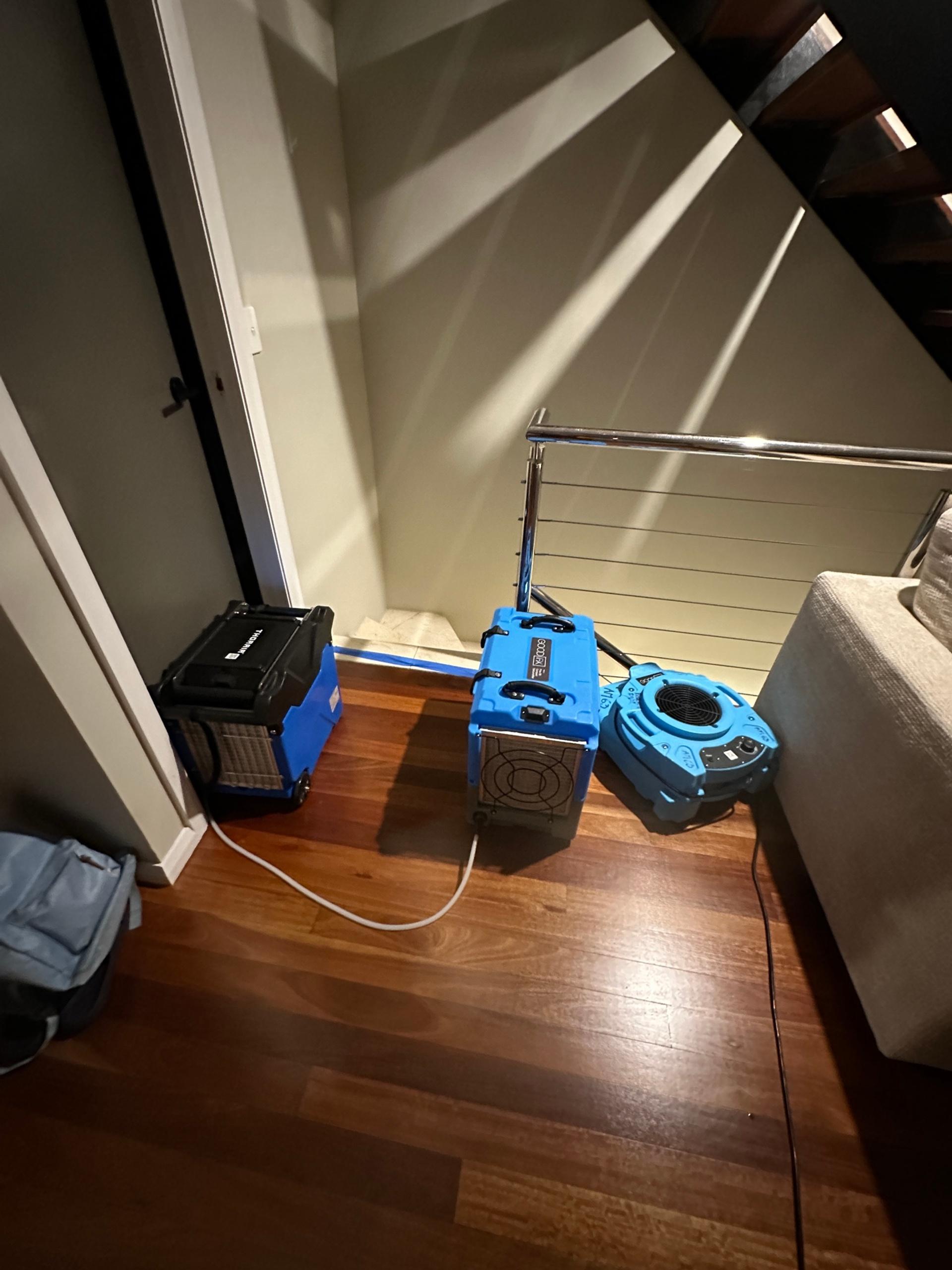 Images Restored Right flood Restoration Carpet Cleaning & Cleaning Services