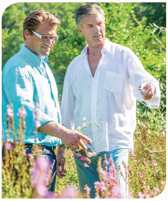 Evolution GmbH, Hausergasse 28 in Villach