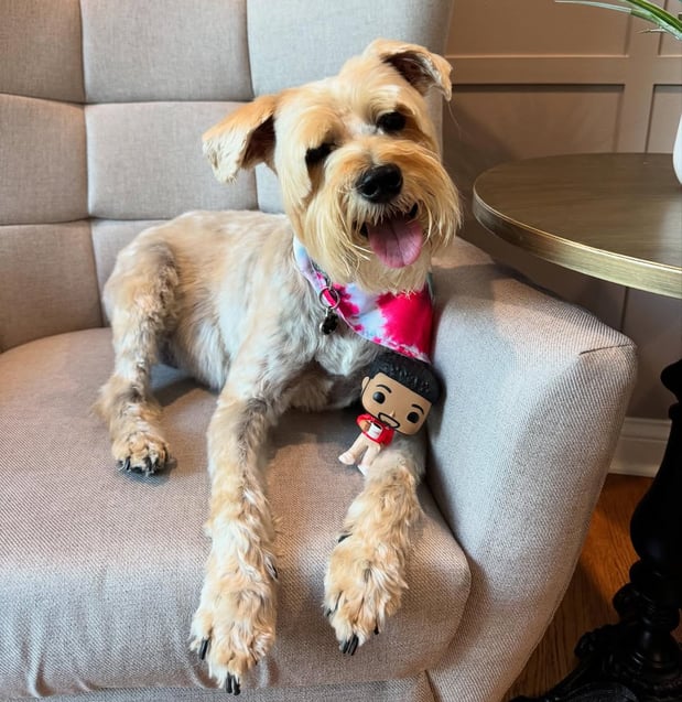 Images Todd Glover - State Farm Insurance Agent