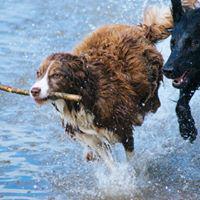 Benson's Pet Center (Colonie) Photo