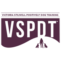 Home Dog Training Positively