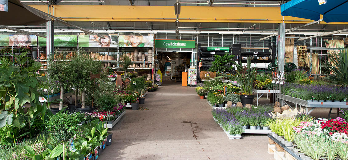 Fotos - OBI Markt Sangerhausen - 2