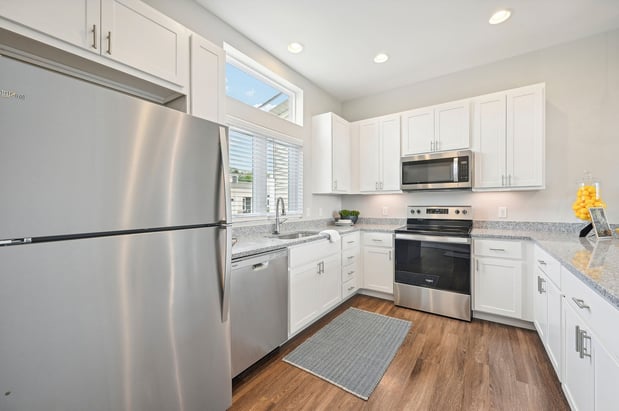 Images Sugar Maple Commons