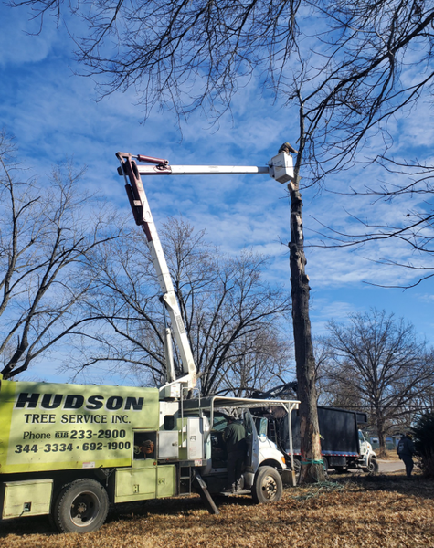 Images Hudson Tree Service