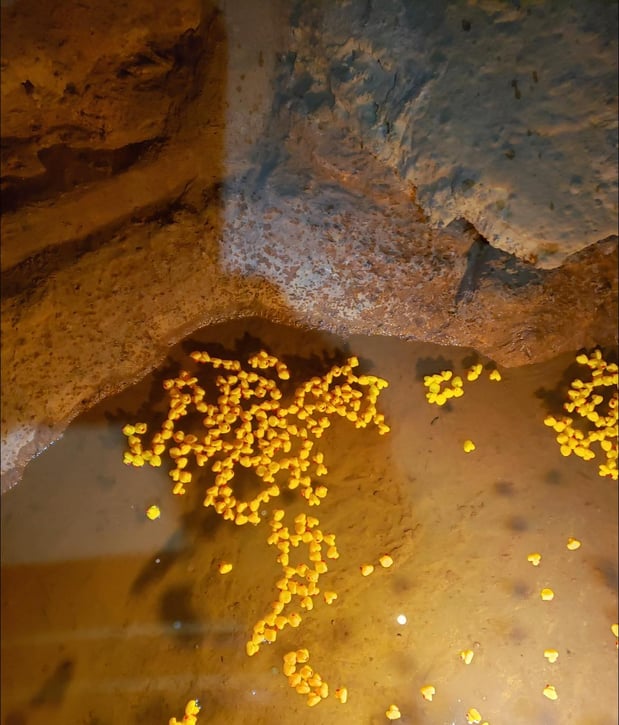 Images Cave of the Winds Mountain Park
