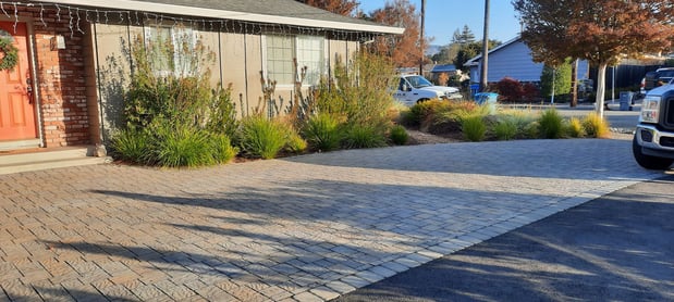 Images Paz Landscape