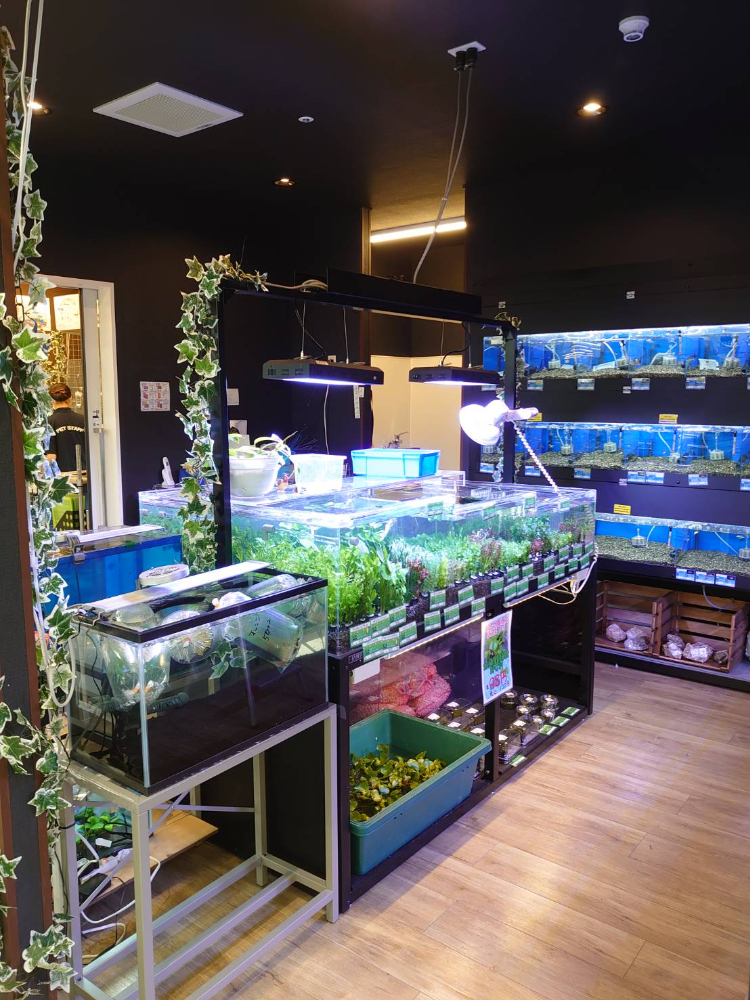 Images ペットプラザ本羽田萩中店