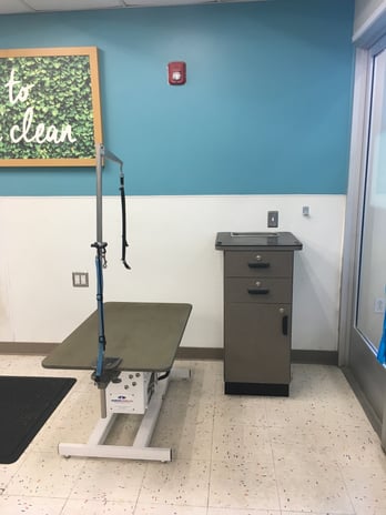Images Petco Grooming