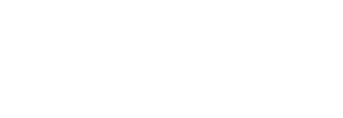 Best Realtor in Venice