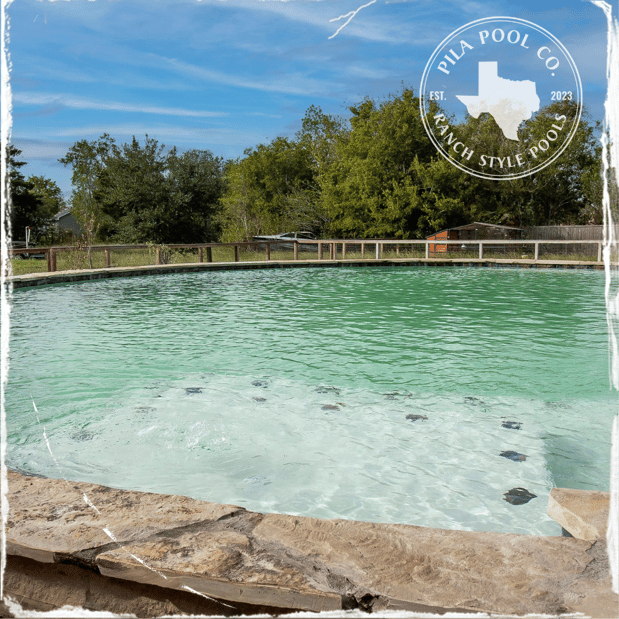 Images Pila Pool Co.