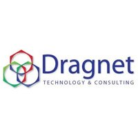 Dragnet Technology & Consulting Logo