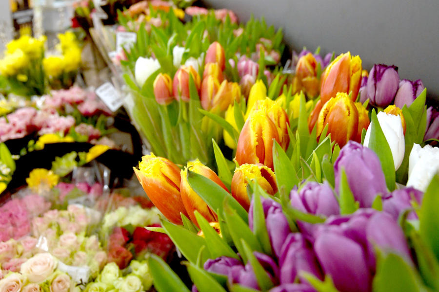 BLUMENABTEILUNG:
Das freundliche Team unserer Floristikabteilung ist von Montag bis Samstag für Sie da. Lassen Sie sich kompetent beraten und die hübschesten, frischesten Blumensträuße binden. Darüber hinaus bekommen Sie dekorative Gestecke, pflegeleichte Zimmerpflanzen und attraktive Dekoartikel.

Sie benötigen Blumen oder ein Arrangement für einen besonderen Anlass? Dann sprechen Sie uns gerne an – auch in diesem Fall sind wir gerne für Sie da!