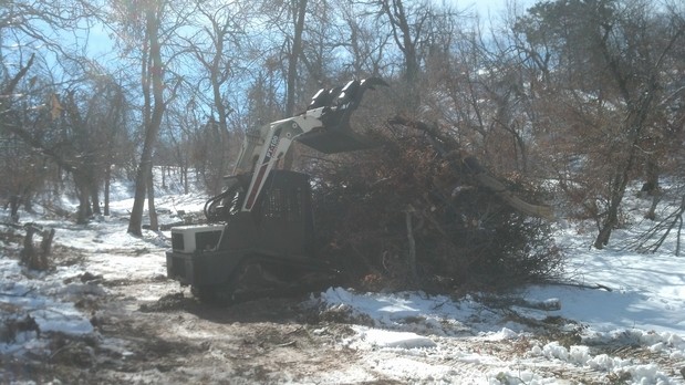 Images Altergott Forestry, LLC