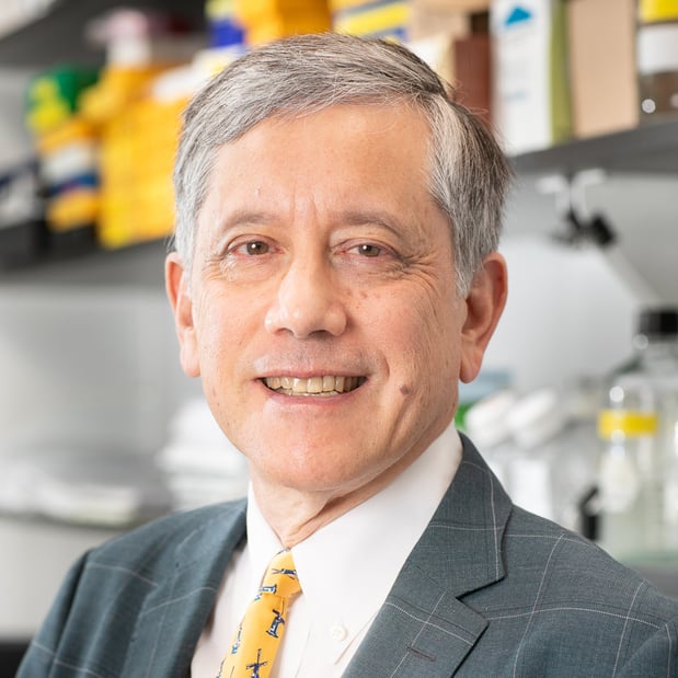 Images Timothy Cragin Wang, MD