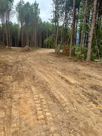 Images Whitzell Excavation