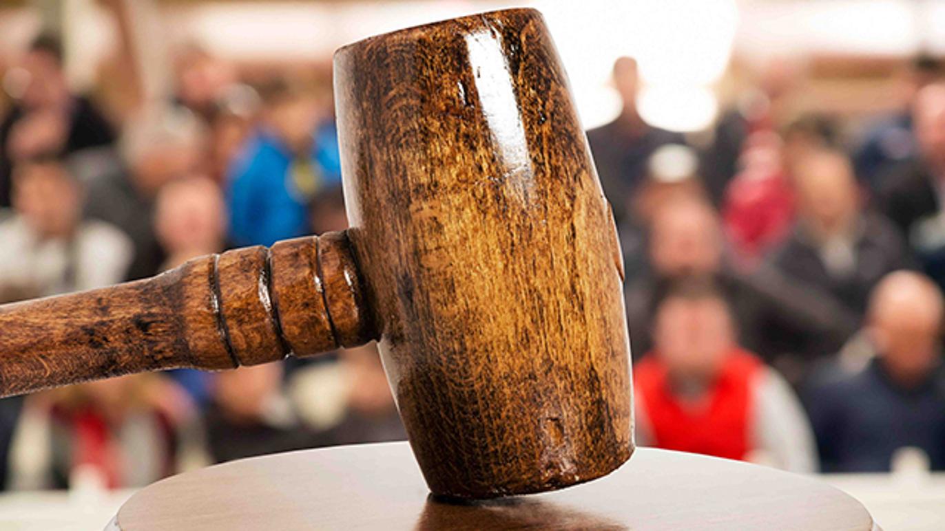 Images Drott Auktioner AB