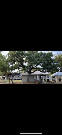 Images Twisted Oaks Tree Services LLC