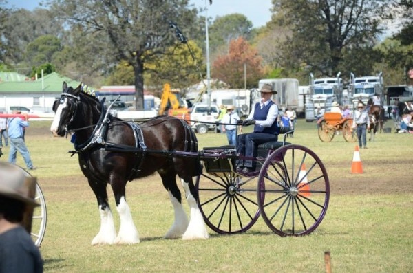 Images Singleton Showground