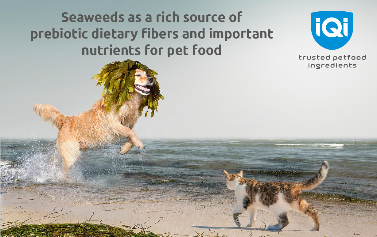 Foto's IQI Trusted Petfood Ingredients