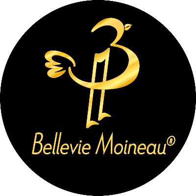 Logo Bellevie Moineau® Keramik Kunst Design