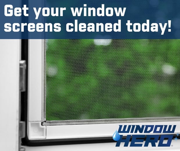 Images Window Hero Charlotte