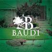 Baudi Landscaping Inc Logo