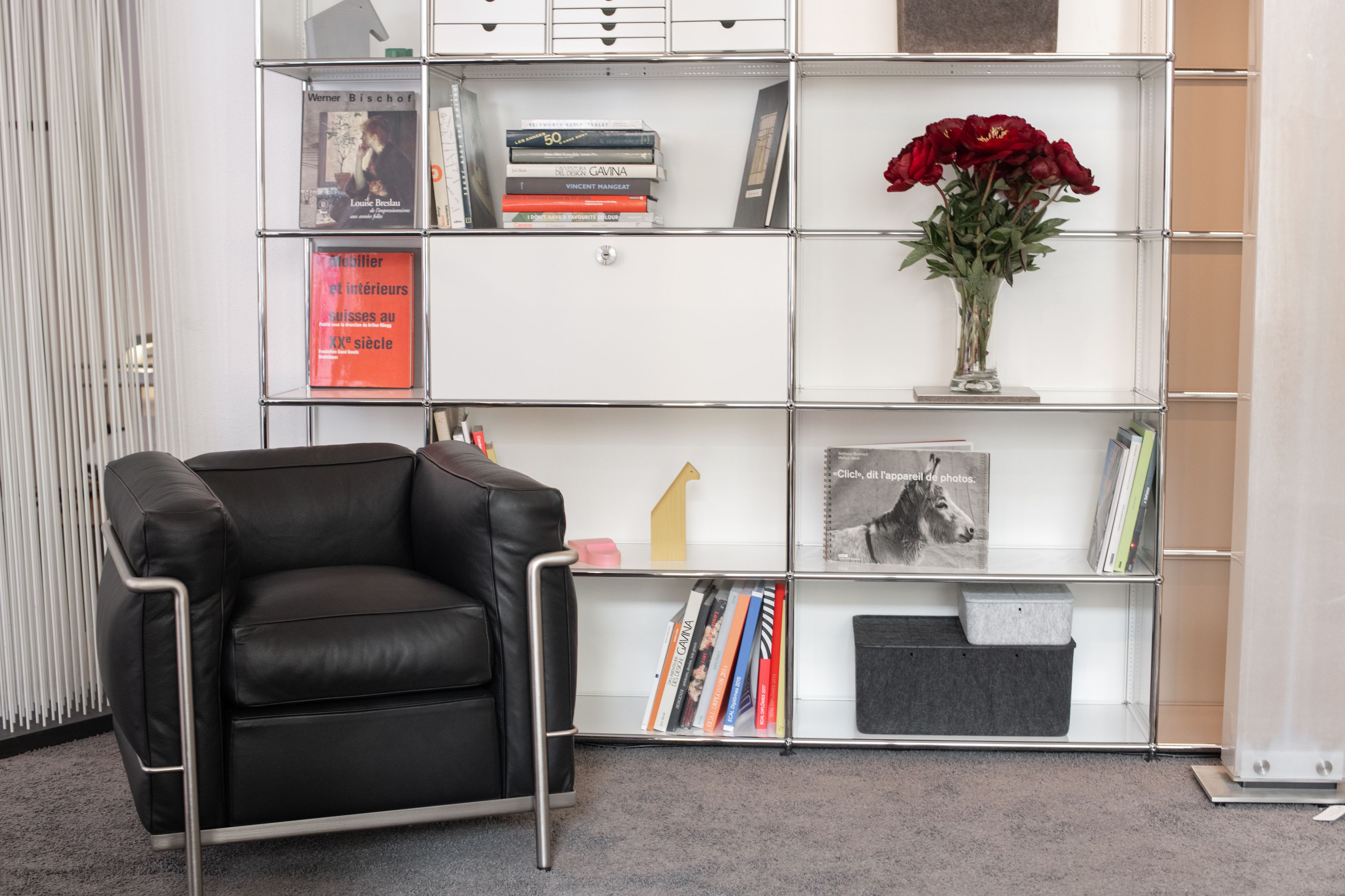 Bilder Wohnshop Projecto SA