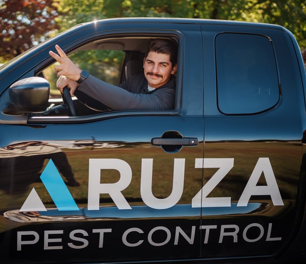 Images Aruza Pest Control