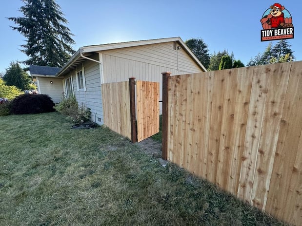 Images Tidy Beaver Fencing - Fence and Gate Contractor