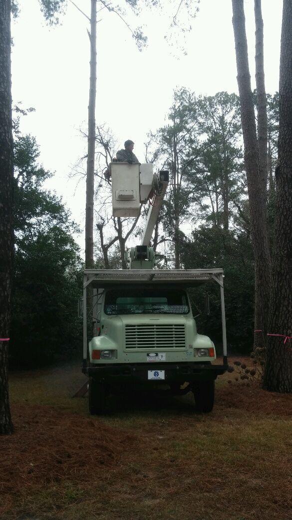 The Arbory Tree Service