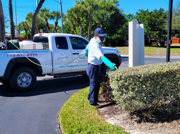 Images The Bug Doctor Pest Control