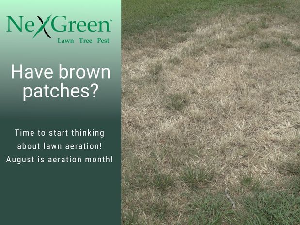 Images NexGreen Lawn and Tree Care