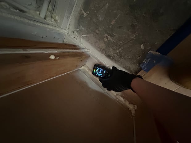 Images 24H Mold Inspection of Mission Viejo