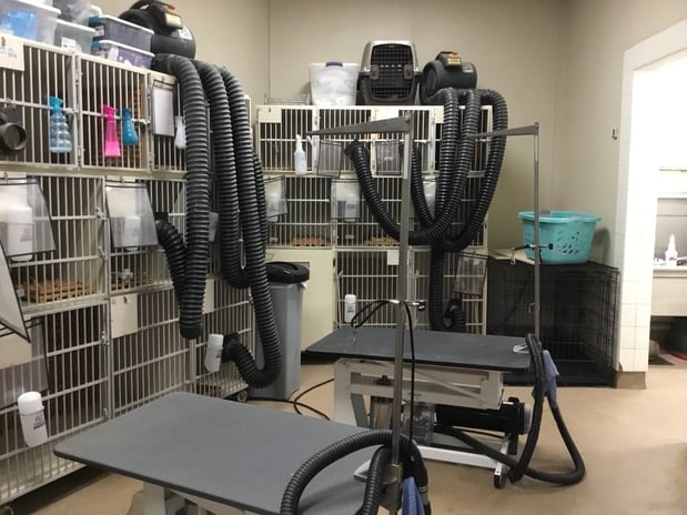 Images Petco Grooming