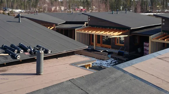 Images Kattoykkönen