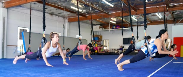 Images Zing Bungee Fitness