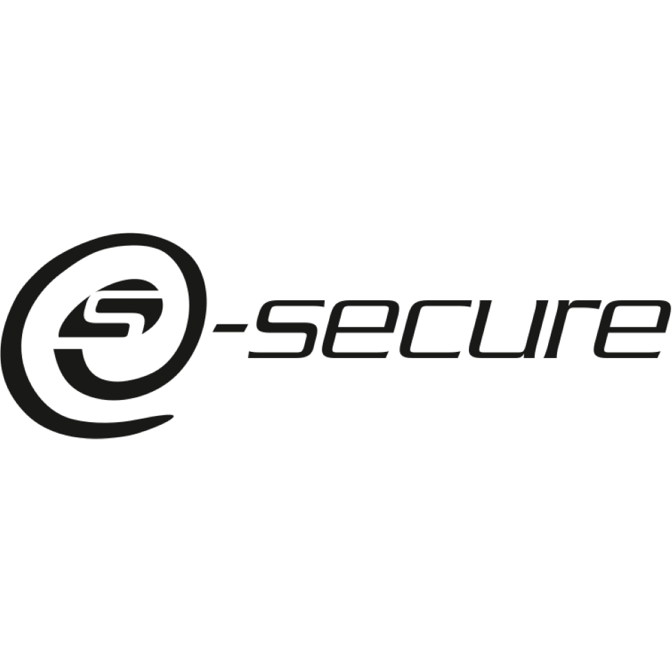 E-SECURE Sàrl Ticino Logo