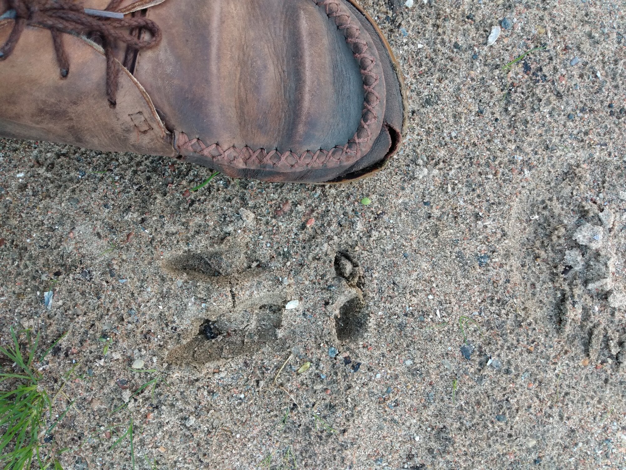 Wildnisschule WildnisWelt in Greven