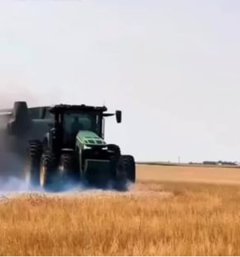 Images Agrigo