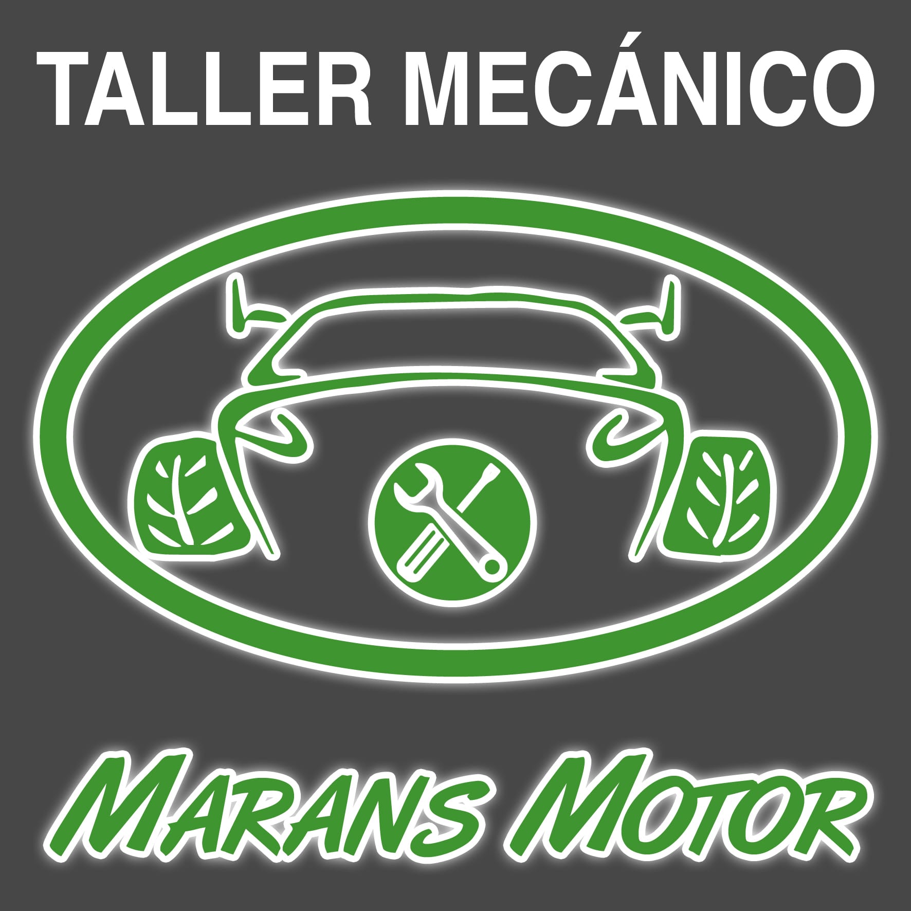 Taller Mecánico Marans Motor Linares