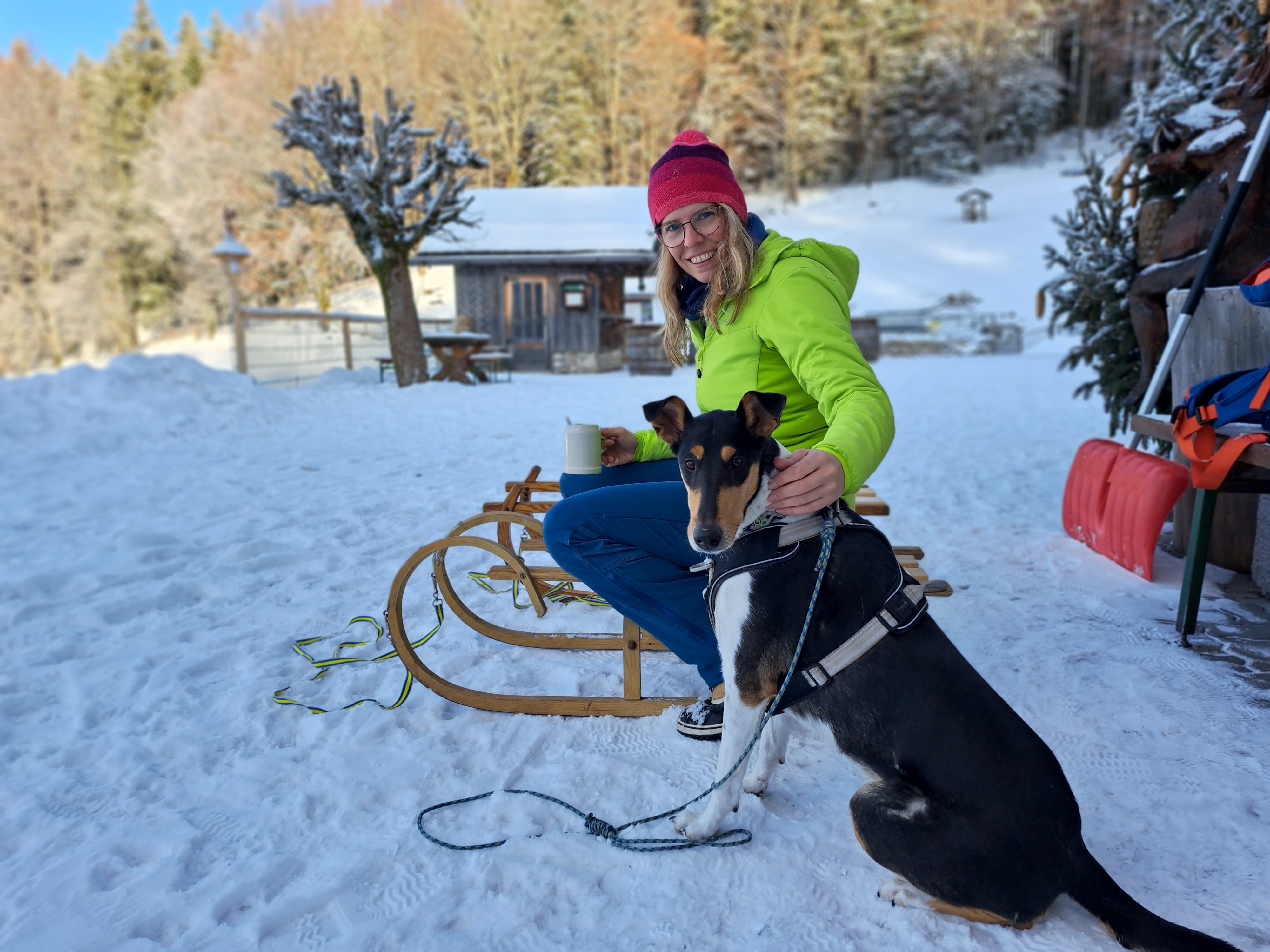DogCircle Hundeschule Dachau & München Nord, Kirchweg 4 in Karlsfeld