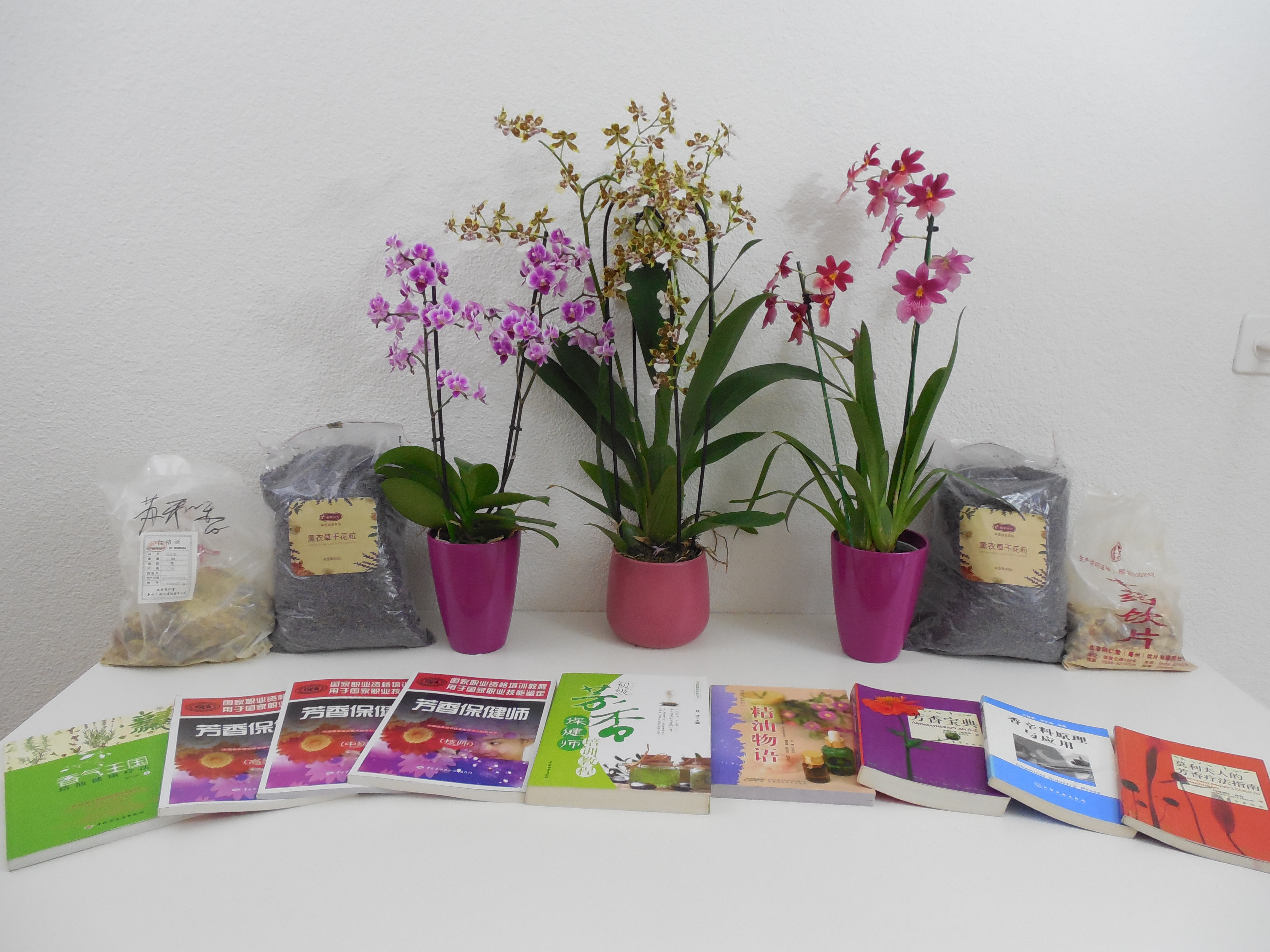 TCM Praxis Zürich, Goethestrasse 22 in Zürich