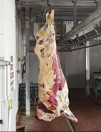Images Ribblet Farms & Ears R Us Dairy