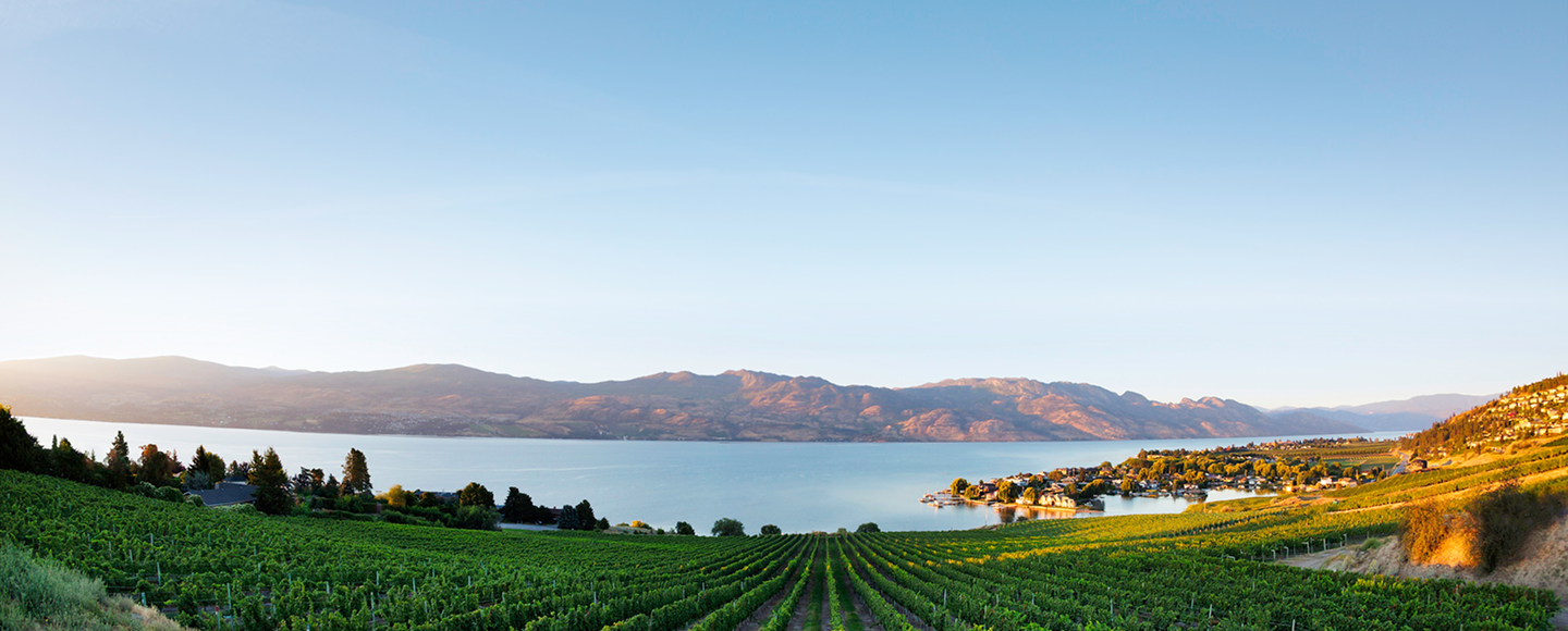 A winery in the Okanagan Valley.