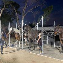 Images Sandrine Seifert Equestrian