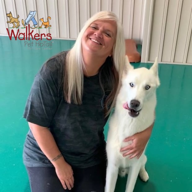 Images Walkers Pet HoTail Pet Care Center