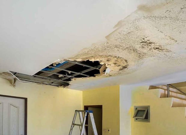 Images Water Mold Fire Restoration & Plumbing of Fort Lauderdale