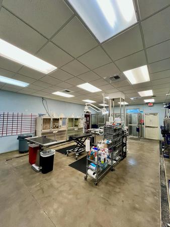 Images VCA Noah’s Place Animal Medical Center