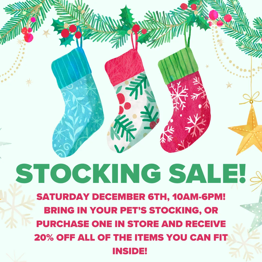 Image of Local Pet Event Fill Your Pet's Stocking Sale! Nearby