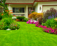 Earthworks Landscape Services Inc